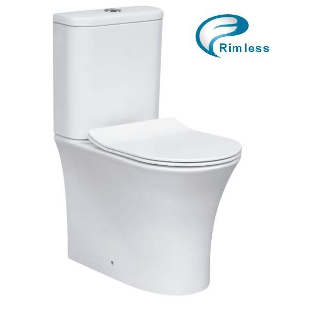 Back to Wall Rimless Toilet Suite
